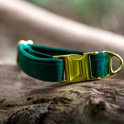 Green velvet collar